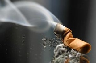 زندگیهایی که با هیچ، پوچ میشود