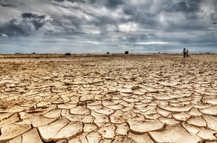 خبر خوش برای دلالان واردکننده/خطر بزرگ خشکسالی در 40 هزار هکتار شالیزار مازندران