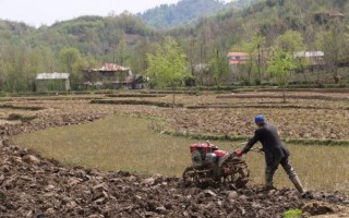 از لزوم تغییر الگوی کشت برای مبارزه با کمآبی تا تدبیری که اندیشیده نمیشود!