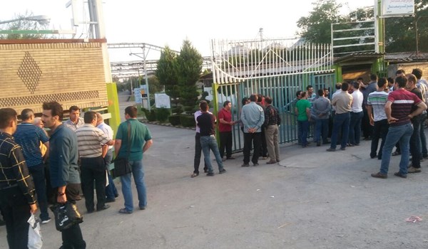 سرنوشت کارگران کشت و صنعت شمال در انتظار چانهزنی مسئولان