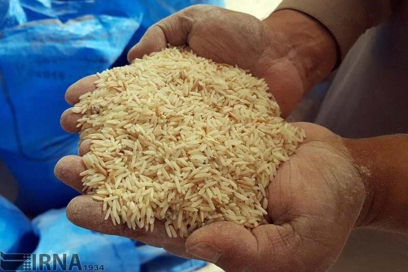 شوک پوستههای خالی شالی به برنجکاران مازندران