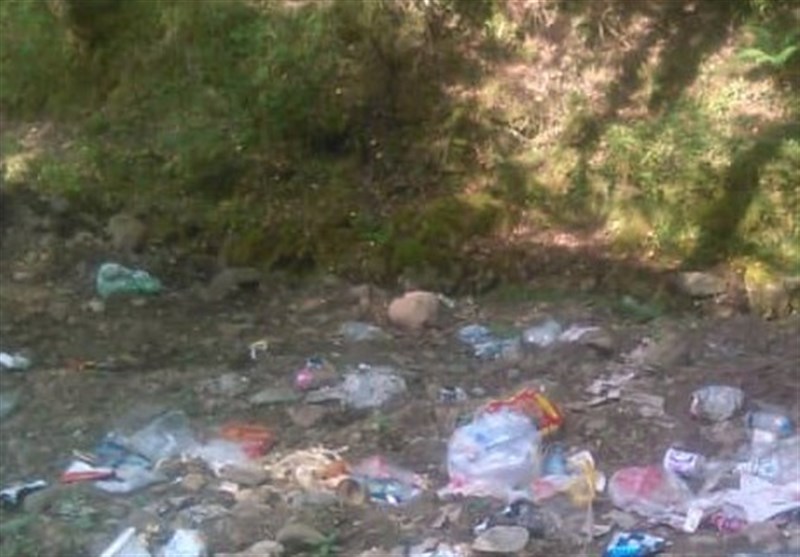 زباله؛ هدیه نامطبوع گردشگران به جنگلهای سوادکوه